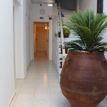 Carolina Apartments Crete Agia Pelagia  Esterno foto