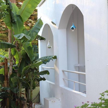 Carolina Apartments Crete Agia Pelagia  Esterno foto