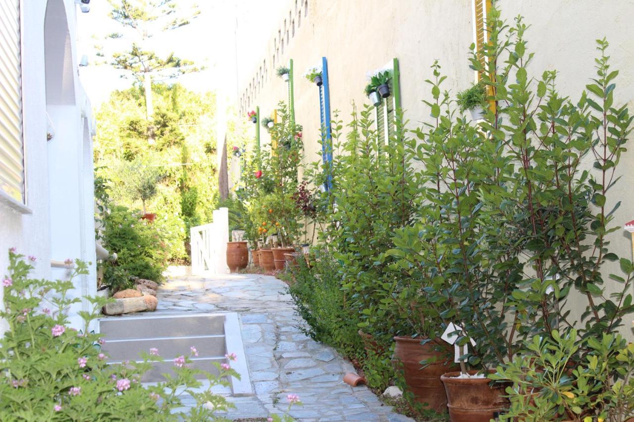 Carolina Apartments Crete Agia Pelagia  Esterno foto