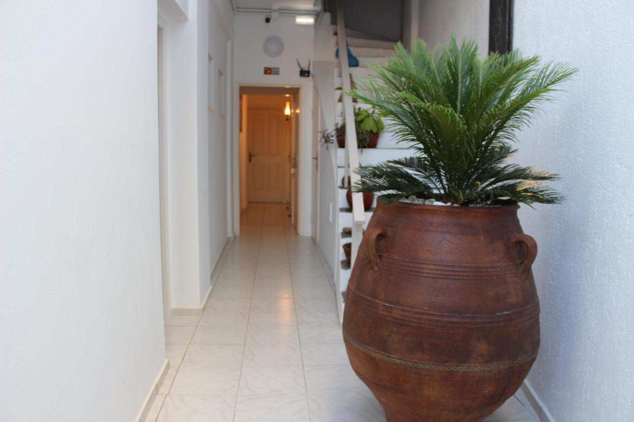 Carolina Apartments Crete Agia Pelagia  Esterno foto