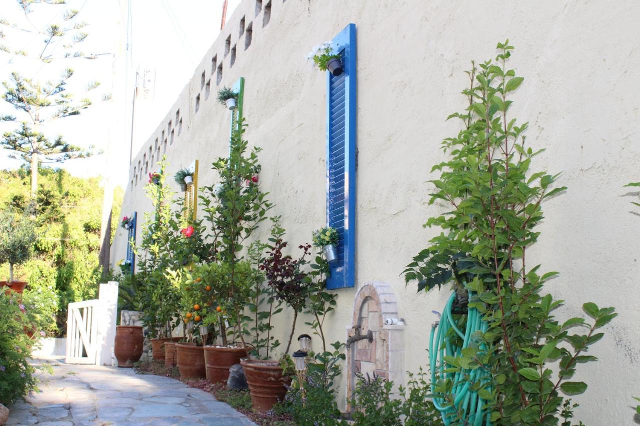 Carolina Apartments Crete Agia Pelagia  Esterno foto