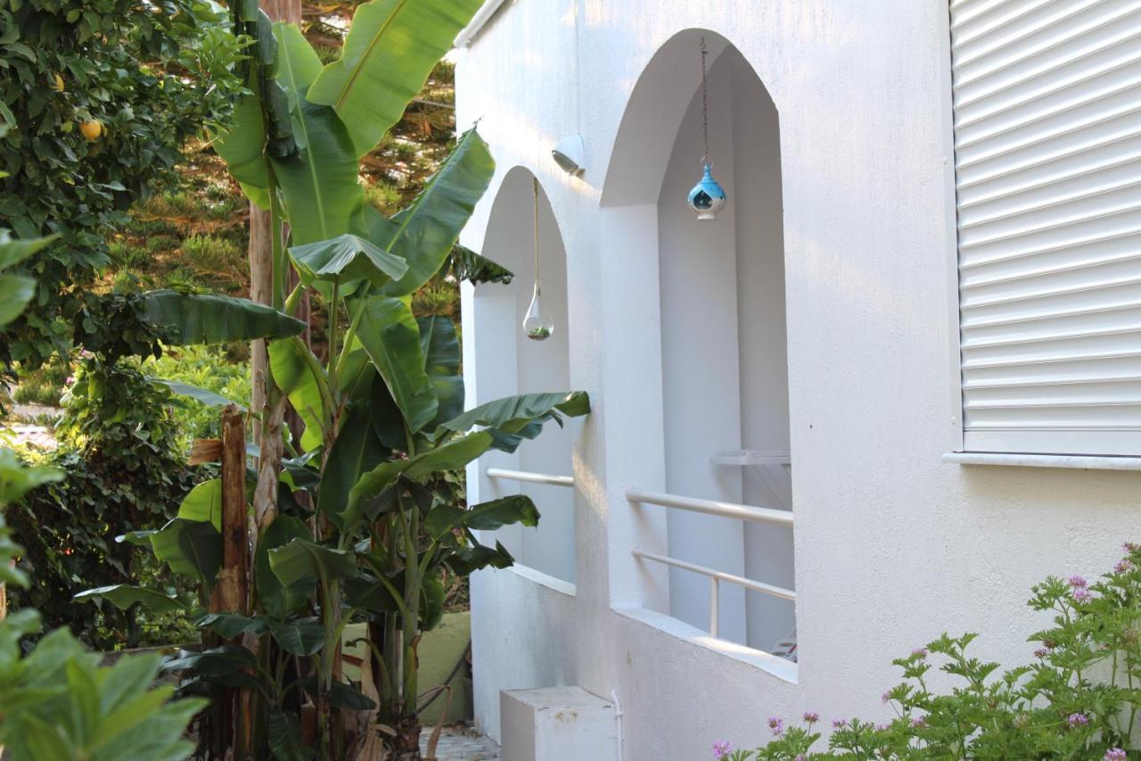 Carolina Apartments Crete Agia Pelagia  Esterno foto